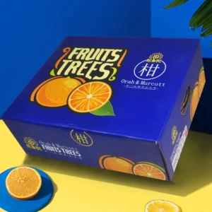 Cardboard Fruit Carton Packaging Box-2