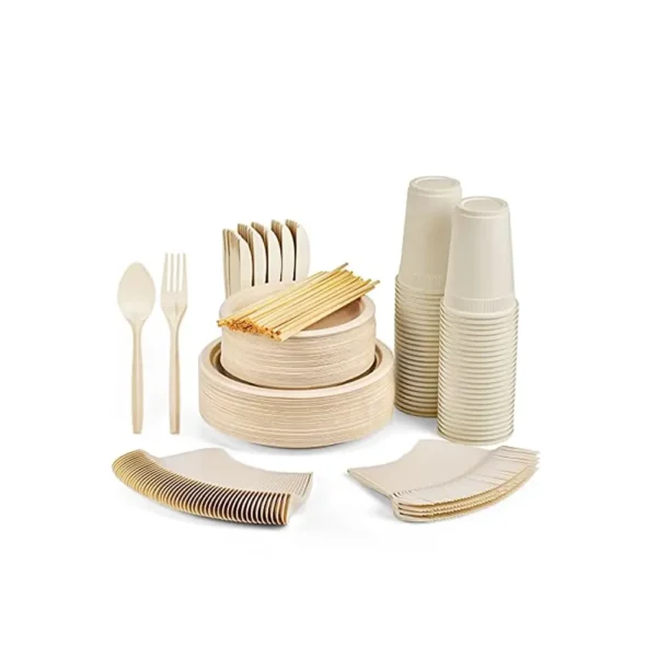 Customized Disposable Bagasse Tableware-3