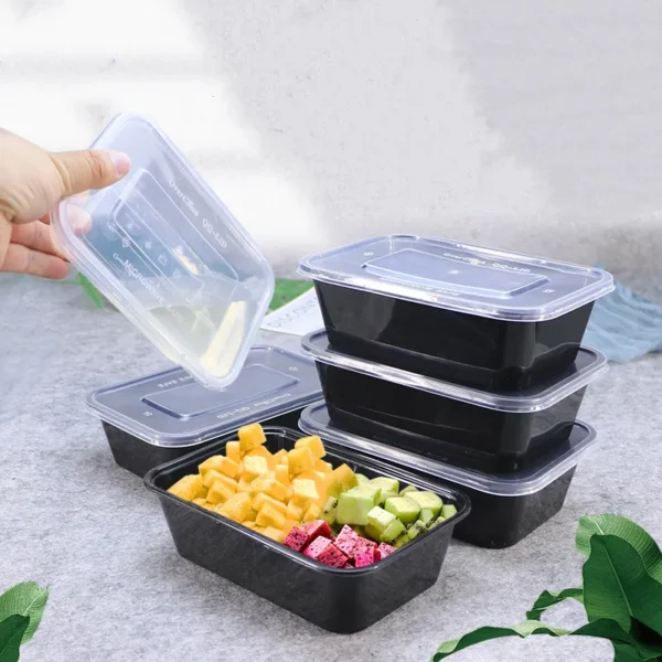 Disposable Plastic Food Packaging Box-1