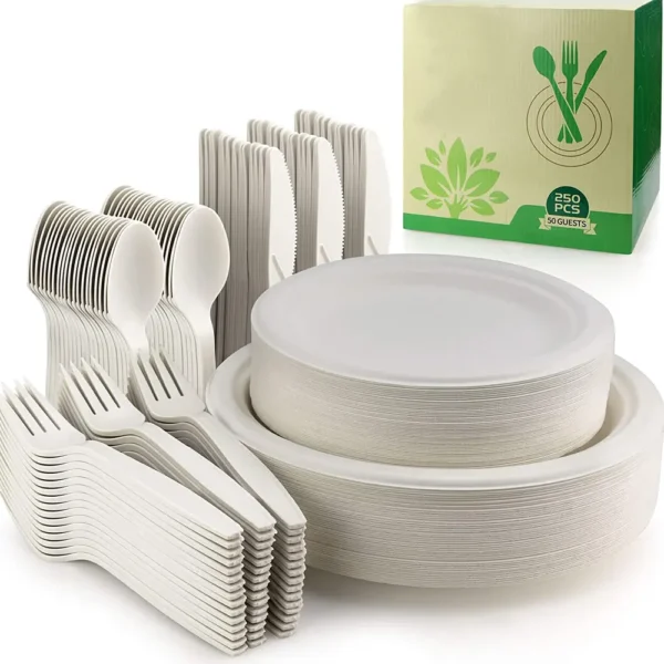 Customized Disposable Bagasse Tableware-6