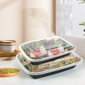 Disposable Plastic Food Packaging Box-4