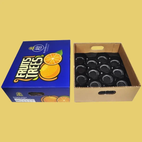 Cardboard Fruit Carton Packaging Box-4