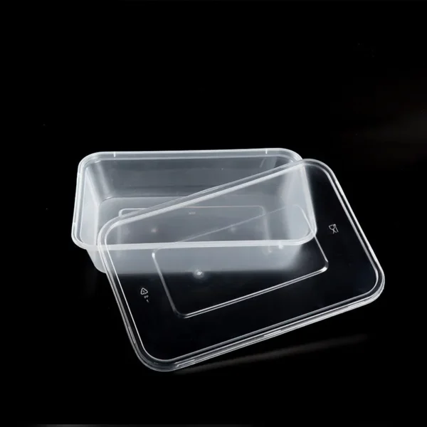 Disposable Plastic Food Packaging Box-6