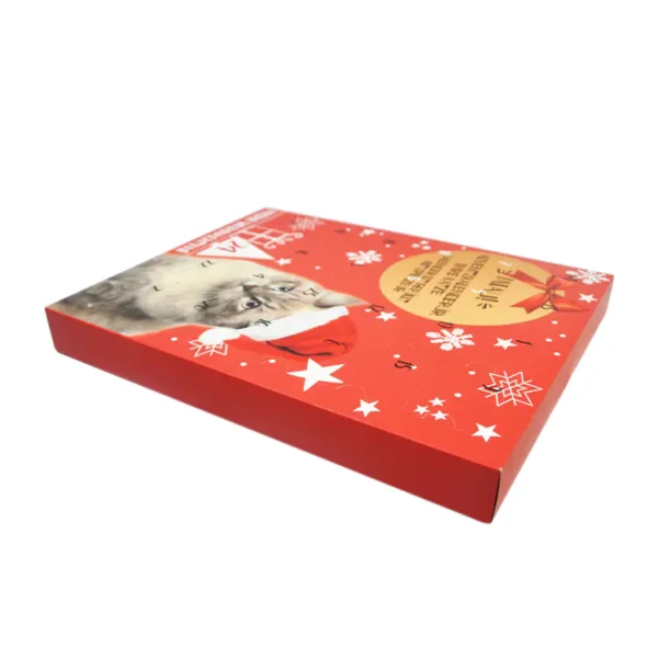 Advent Calendar 24pcs Cat box-2