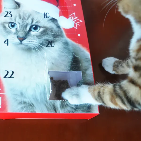 Advent Calendar 24pcs Cat box-10