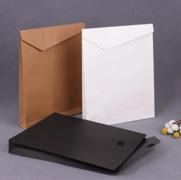 Customized Biodegradable Garment Shipping Paper Bags-2