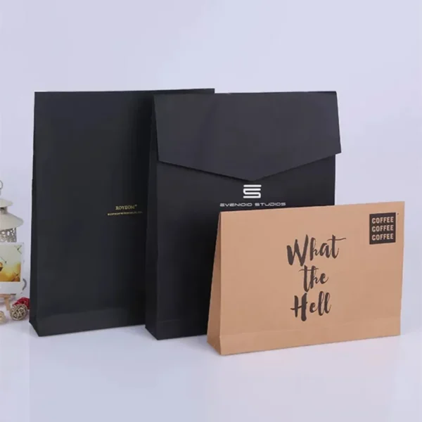 Customized Biodegradable Garment Shipping Paper Bags-4