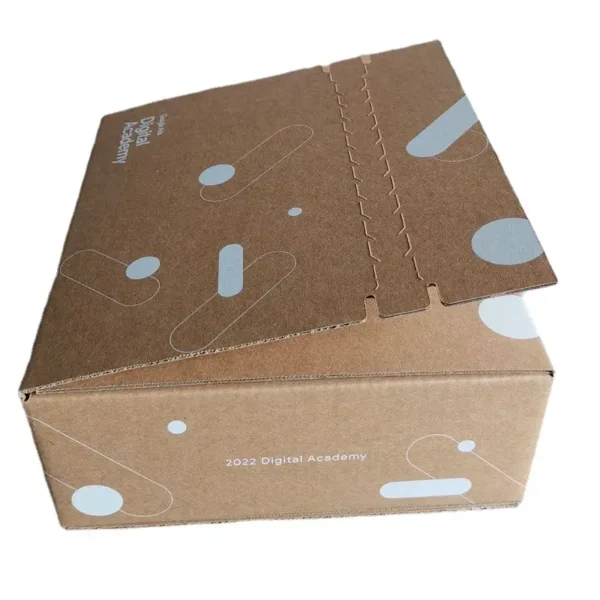 Corrugated Cardboard Rigid Box Shipping Packaging Carton-5