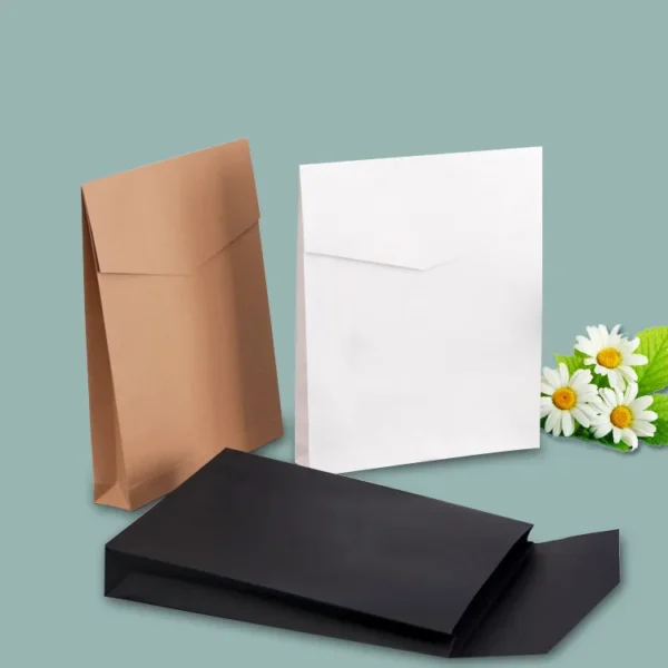 Customized Biodegradable Garment Shipping Paper Bags-6