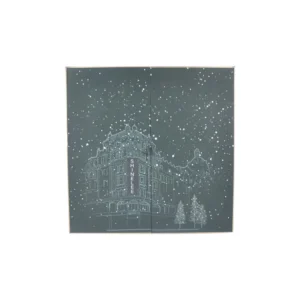 Snowflake City Illustrated Advent Calendar-1