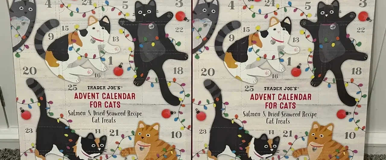 Pet Advent Calendar-2