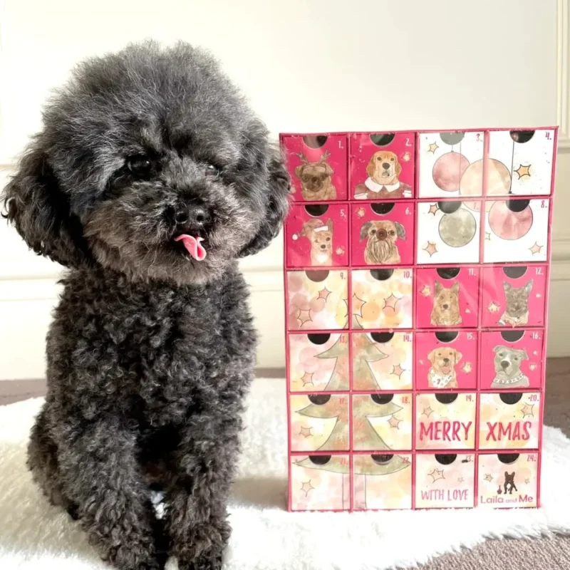 Pet Advent Calendar-1